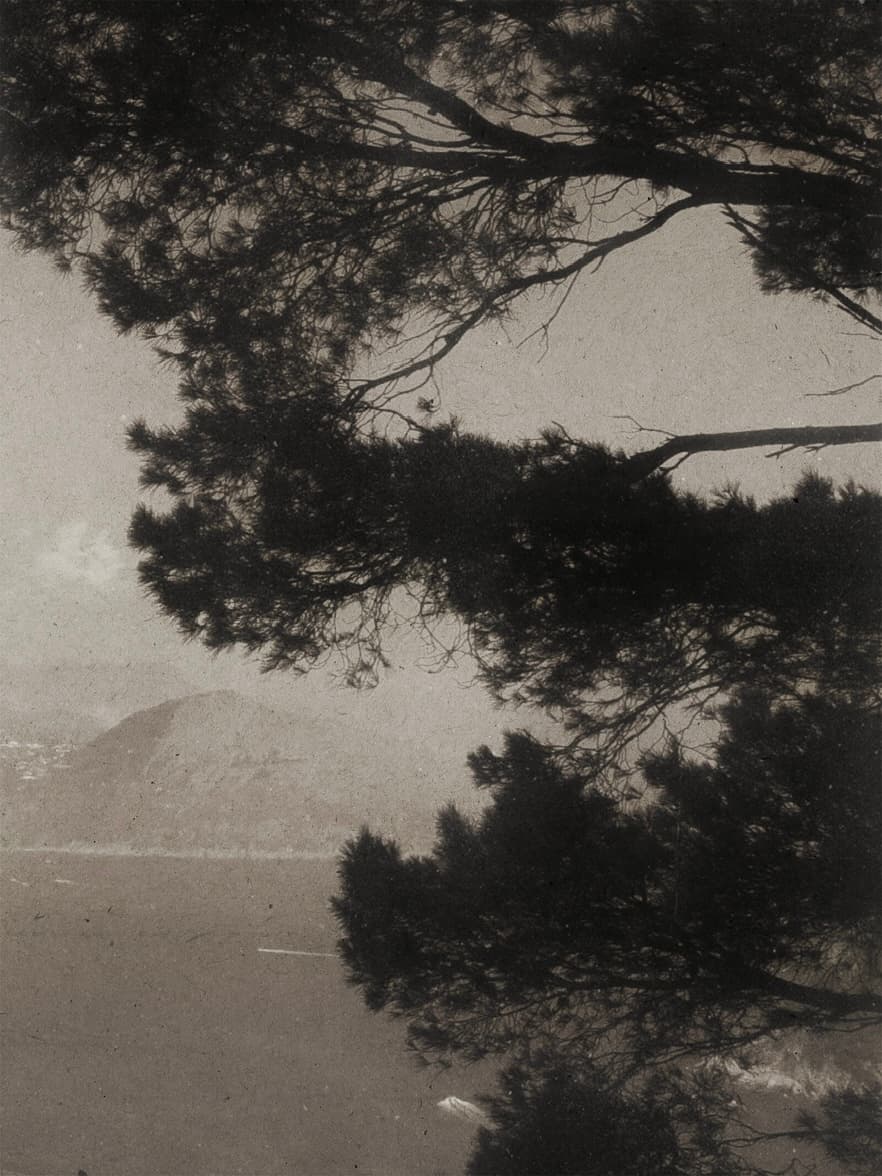 诗篇 archive image 6