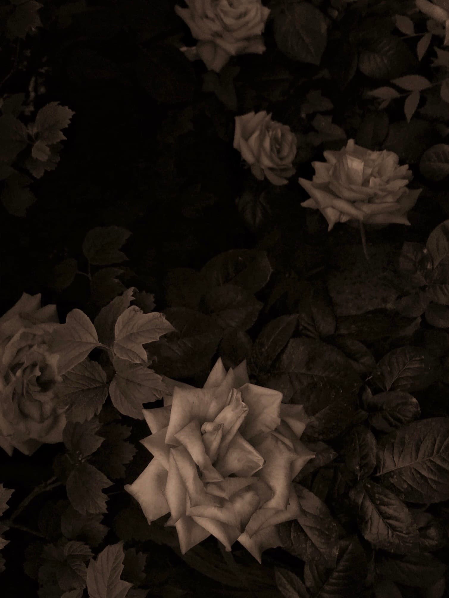 Vertical monochrome photograph with isolated visual structure