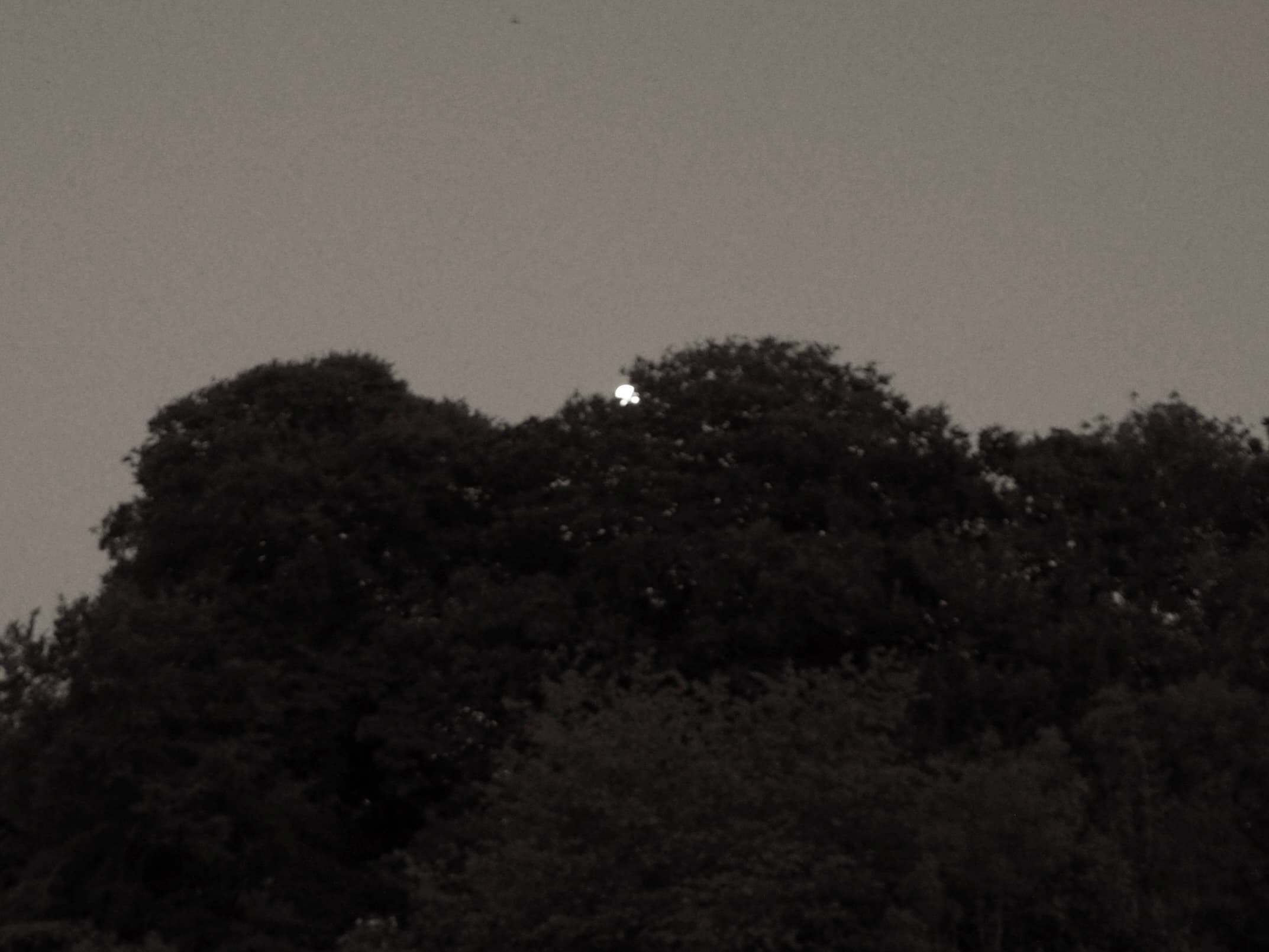 Landscape monochrome image with repeated structural rhythm