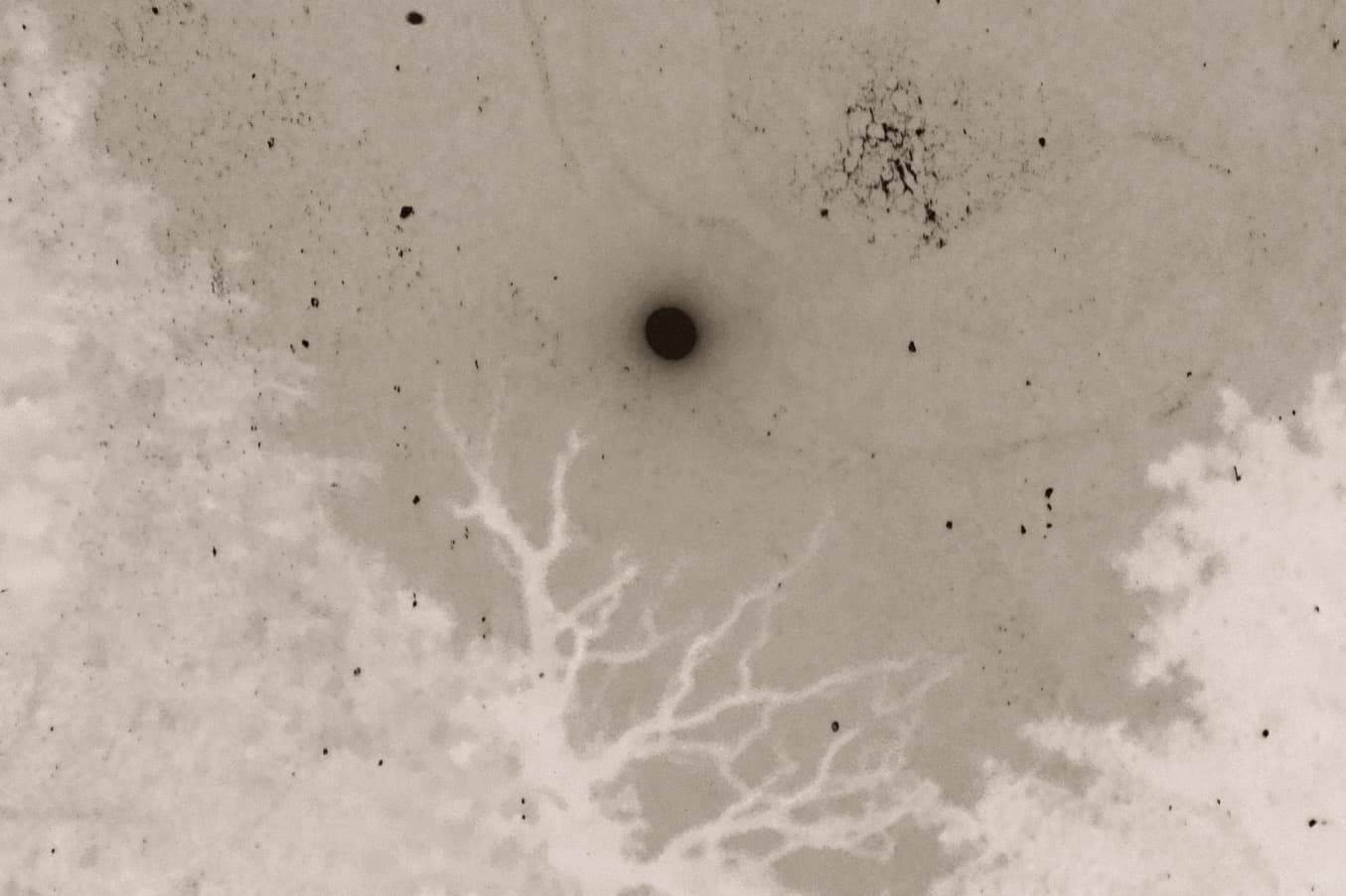Wide monochrome photograph with quiet axial composition