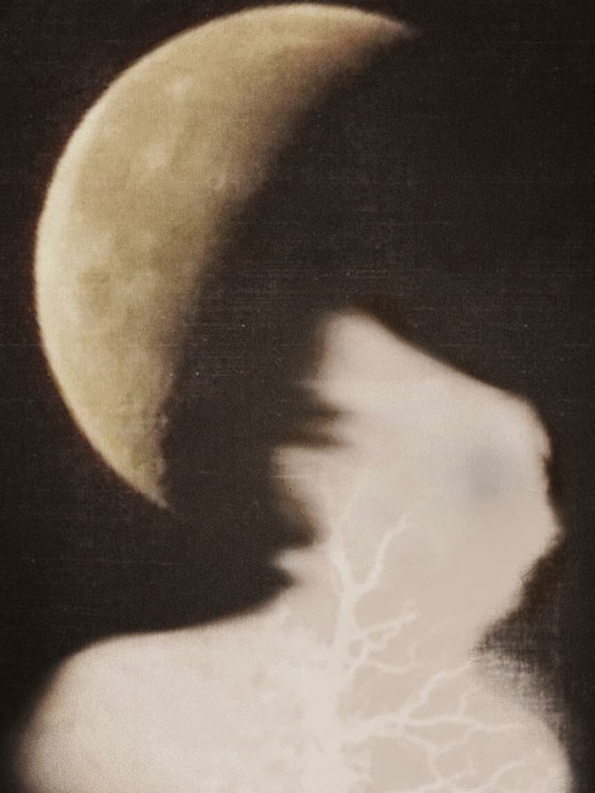 Portrait monochrome image with a compressed vertical signal