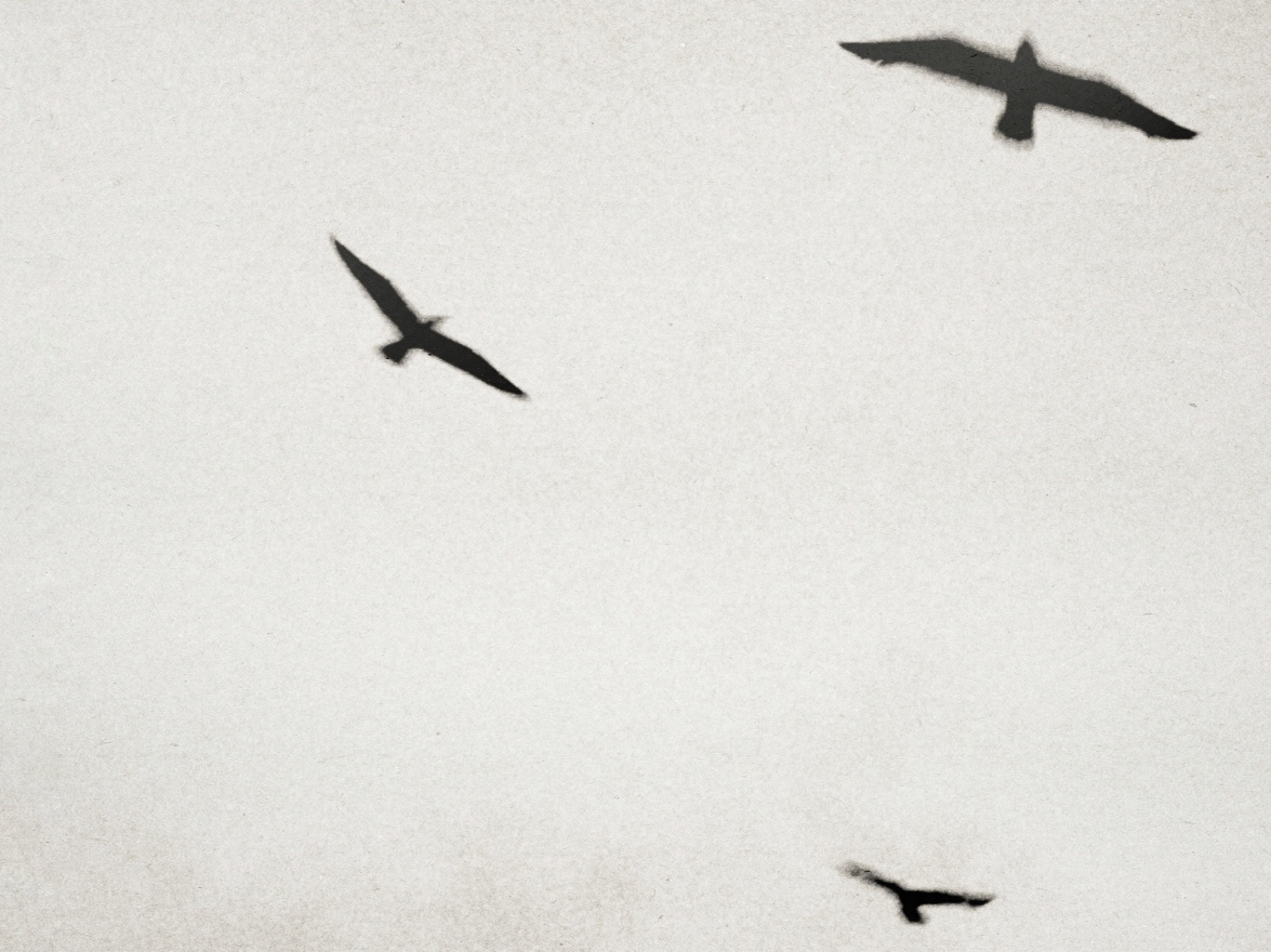 勾股术 archive image 2