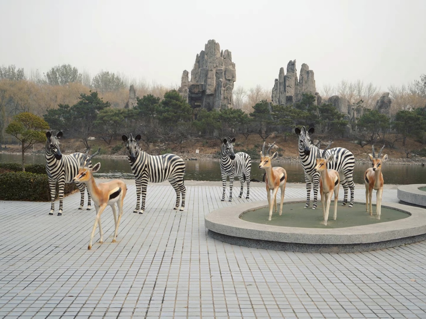 疾风传 archive image 7