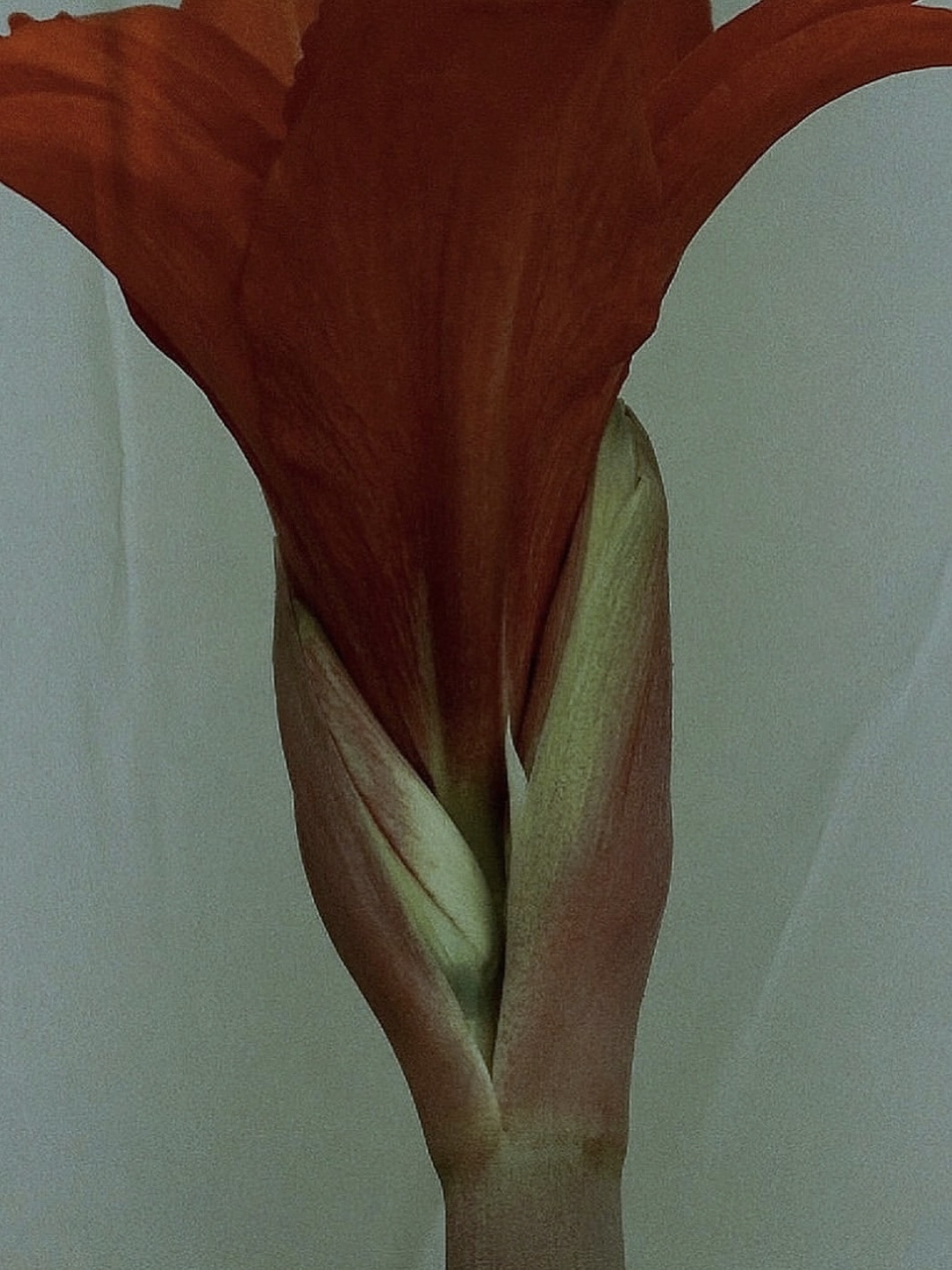 疾风传 archive image 2