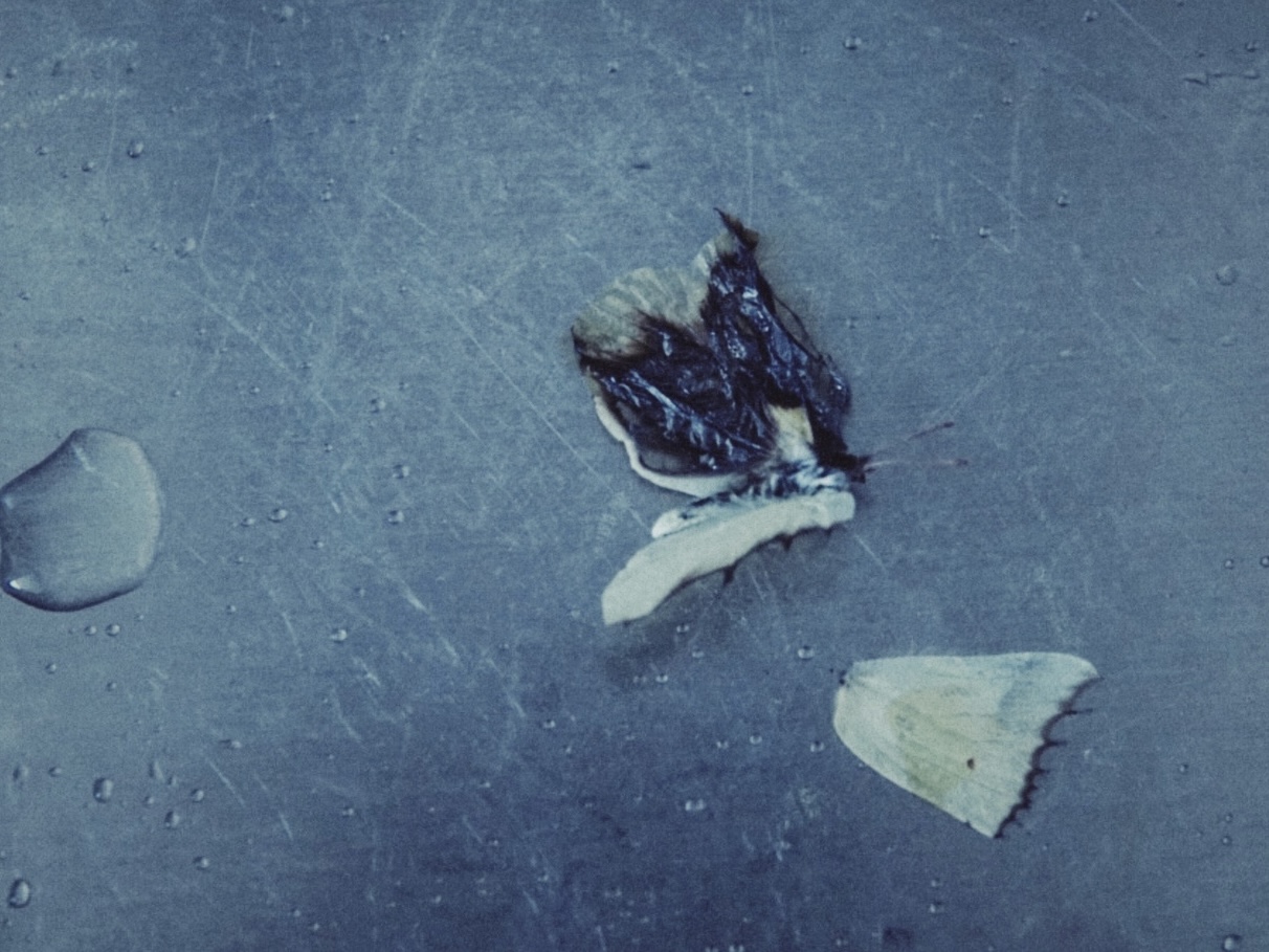 疾风传 archive image 19