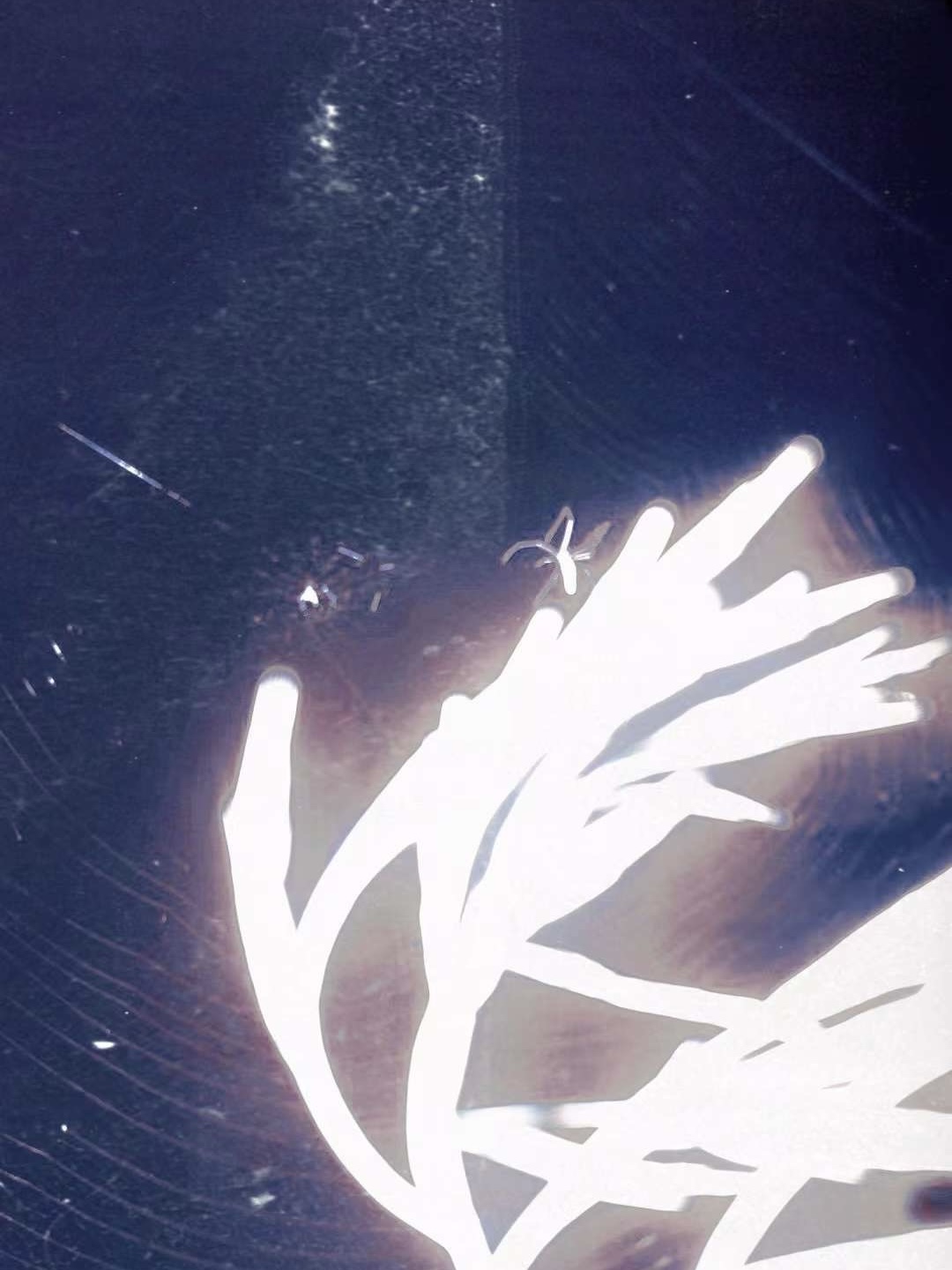 疾风传 archive image 12