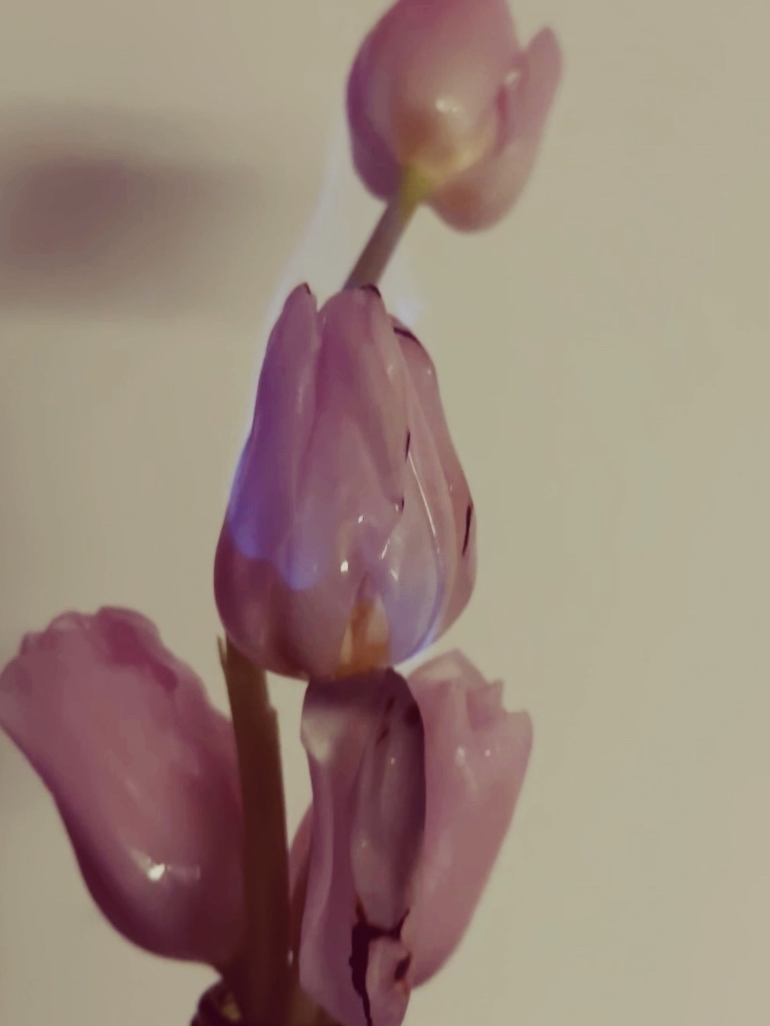 疾风传 archive image 16