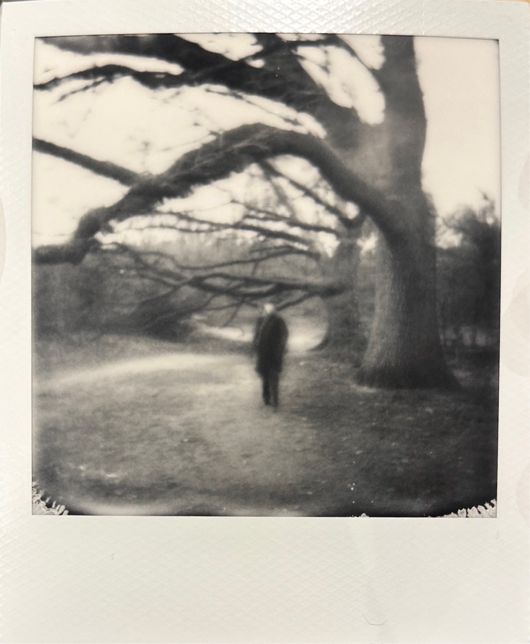 己舒蘇 polaroid archive image 4