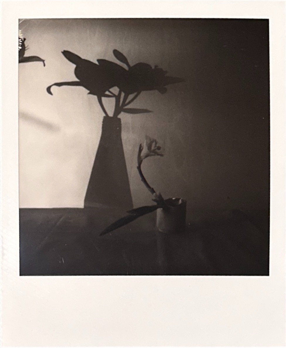 己舒蘇 polaroid archive image 9