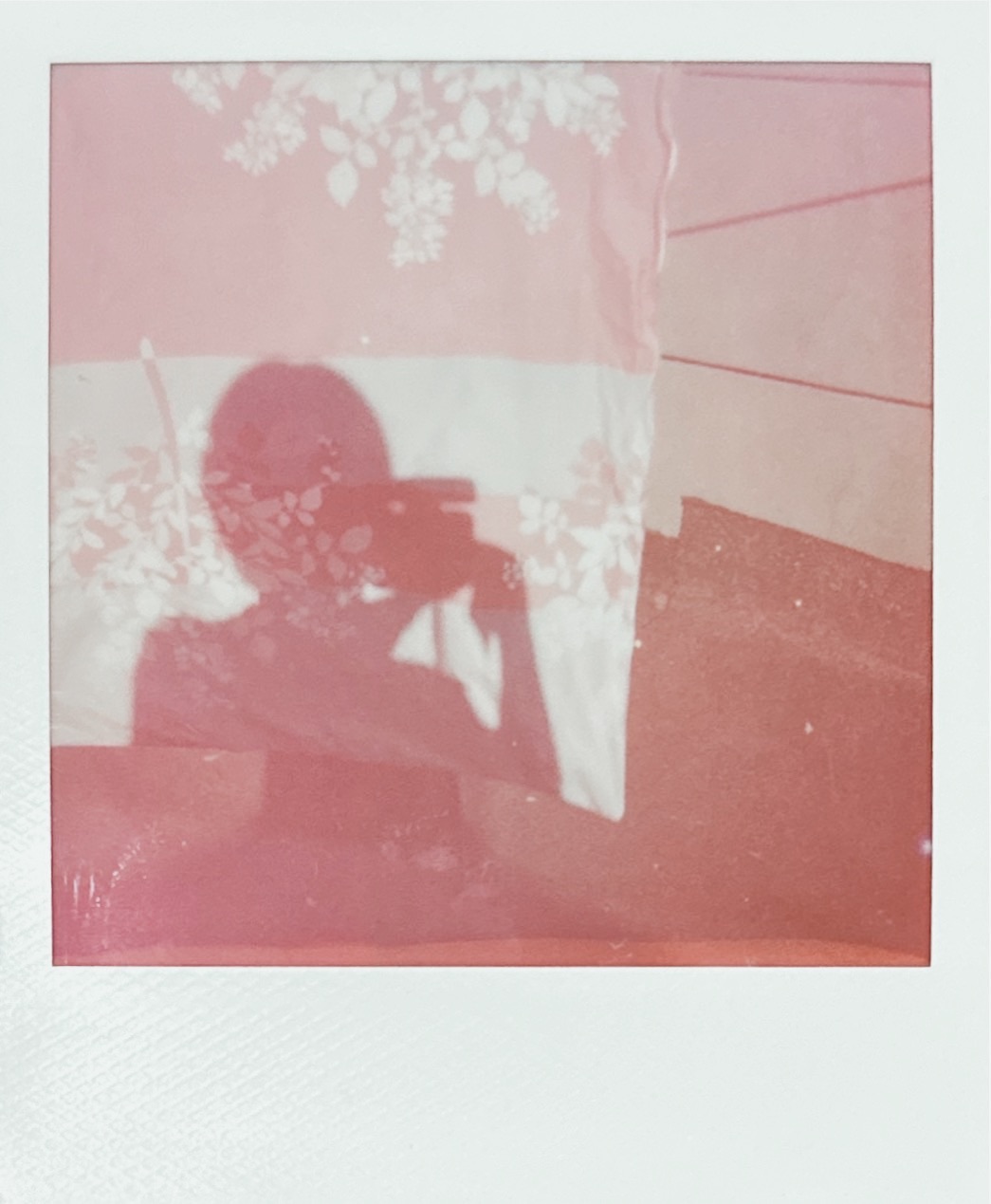 己舒蘇 polaroid archive image 10