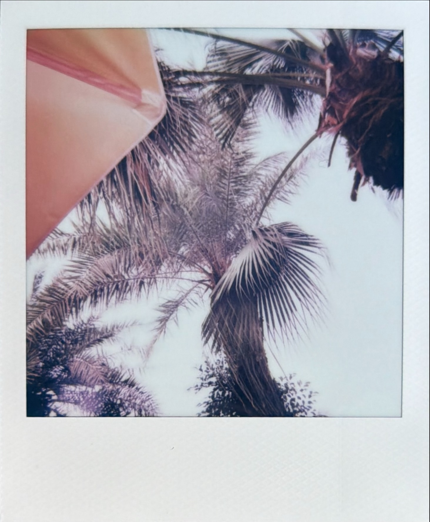 己舒蘇 polaroid archive image 25