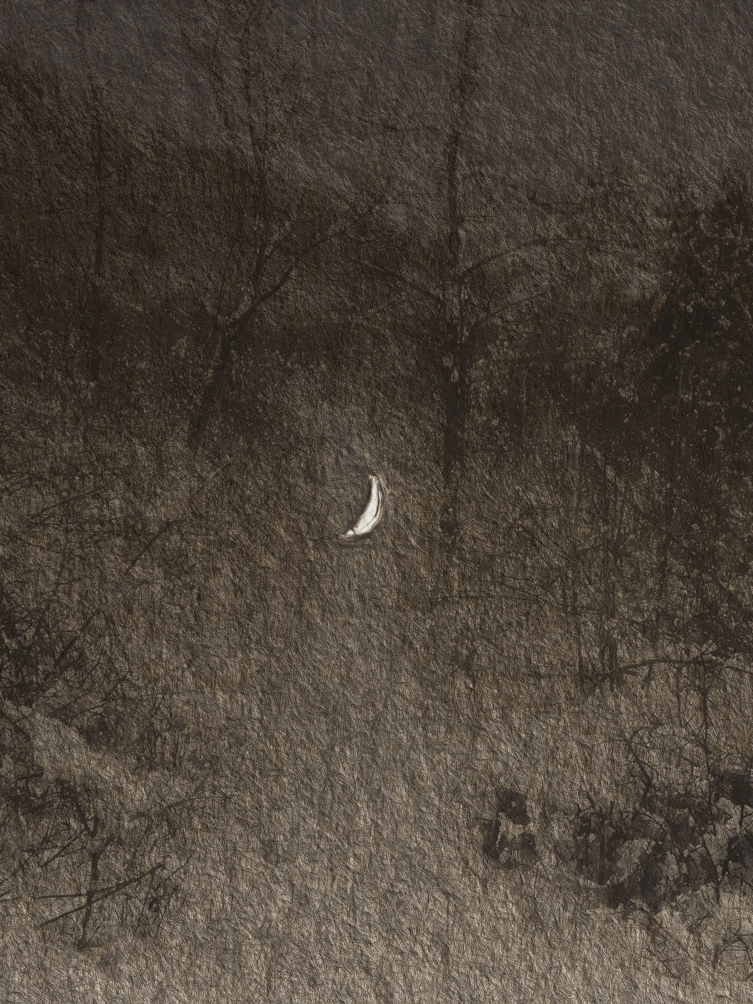 诗篇 archive image 10