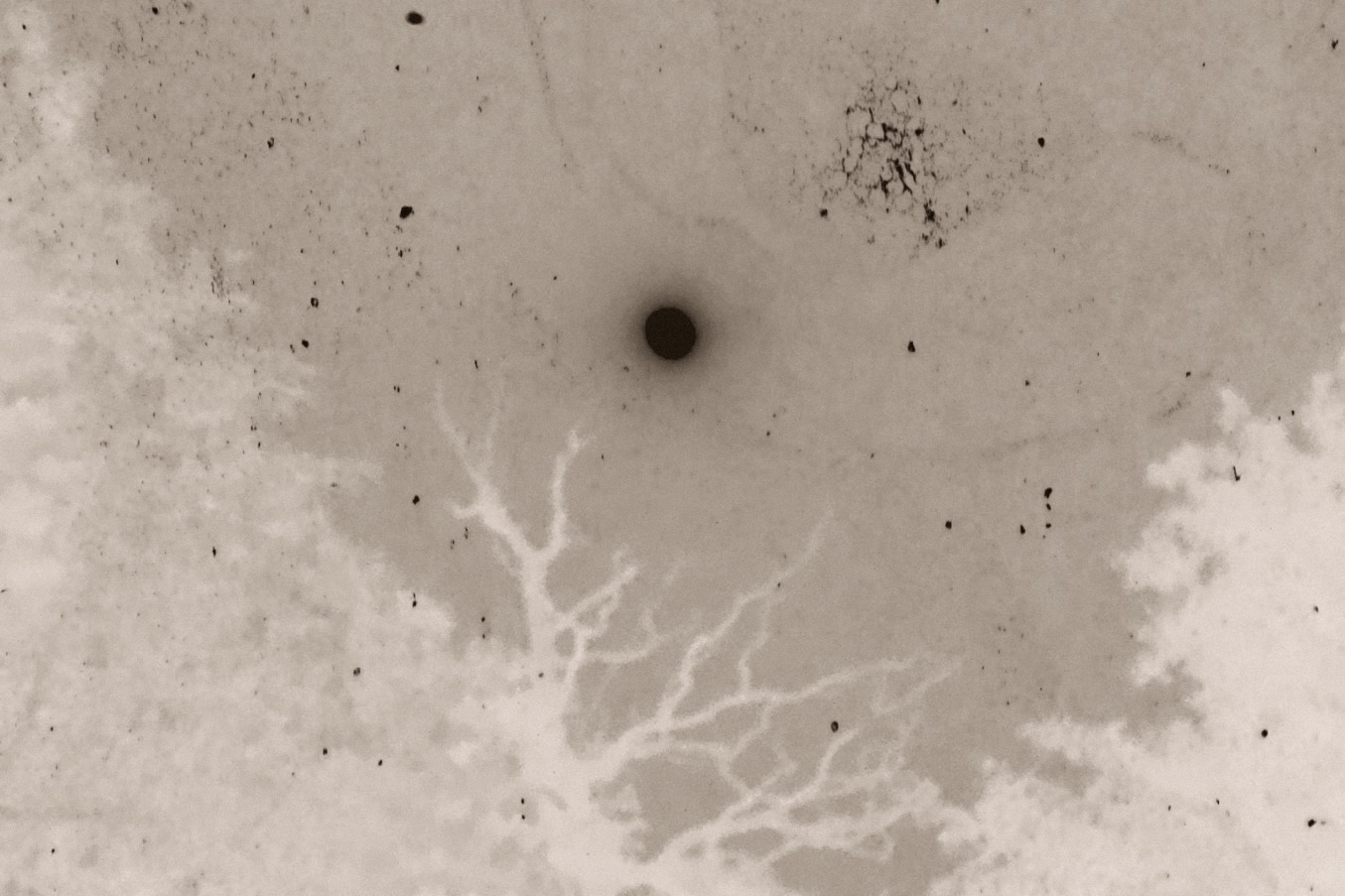 诗篇 archive image 11