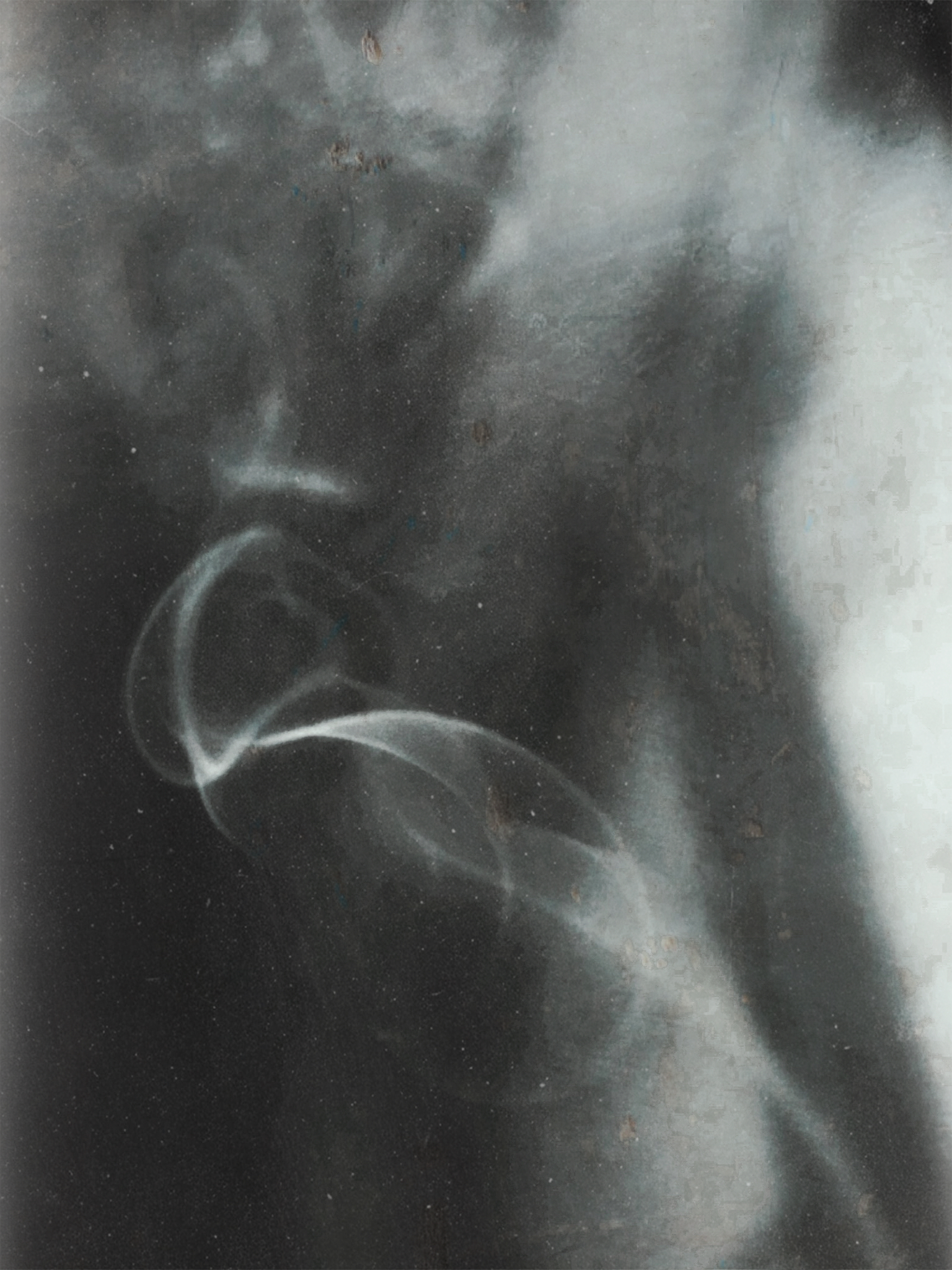 诗篇 archive image 12