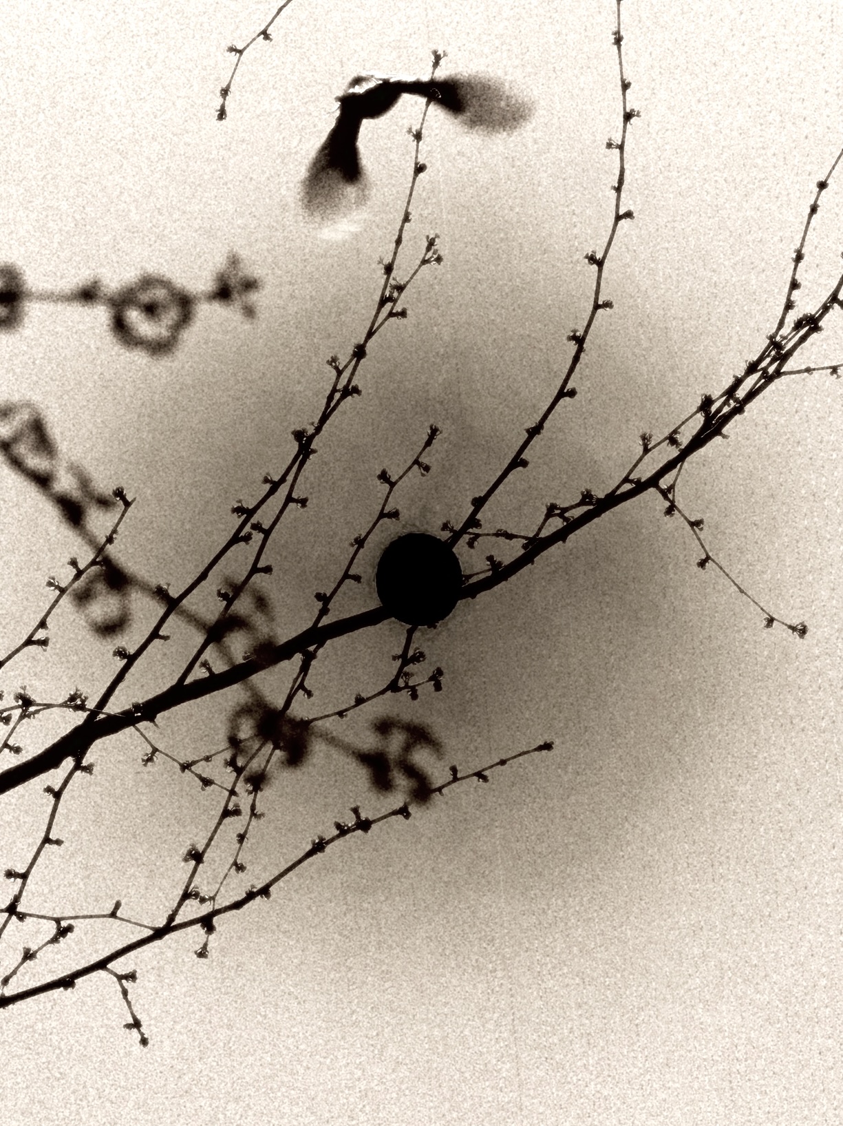 诗篇 archive image 17