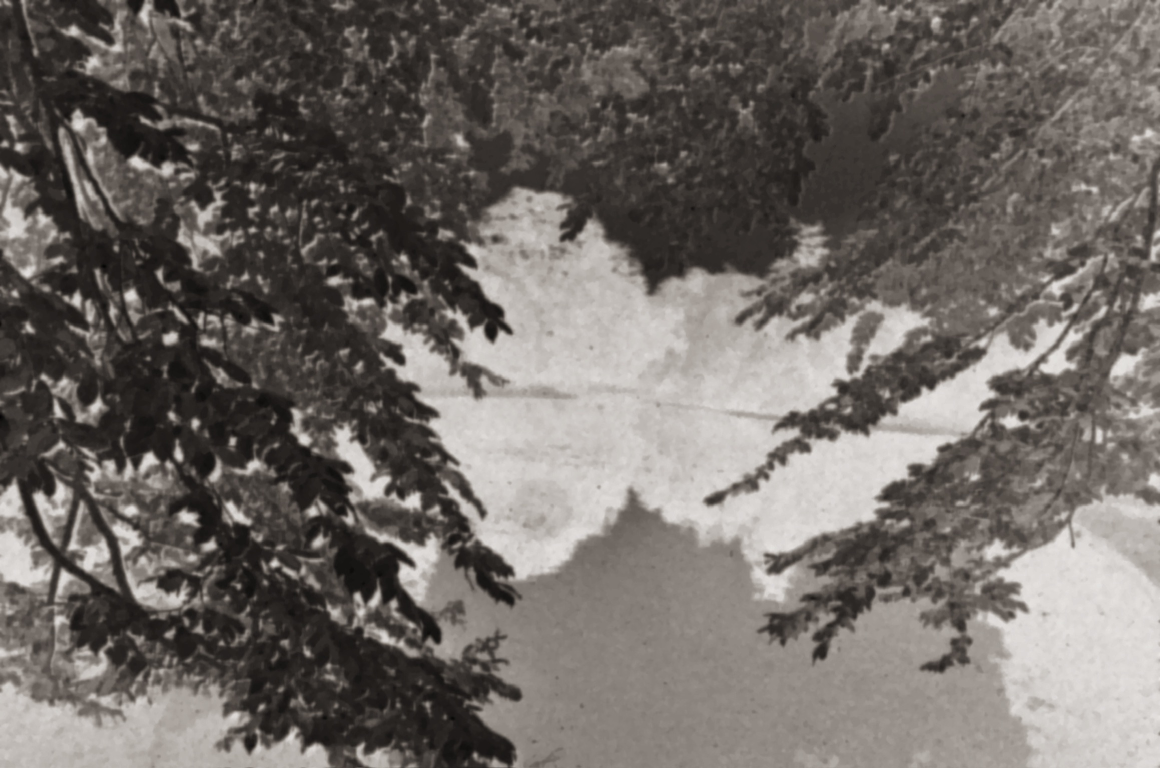 诗篇 archive image 18