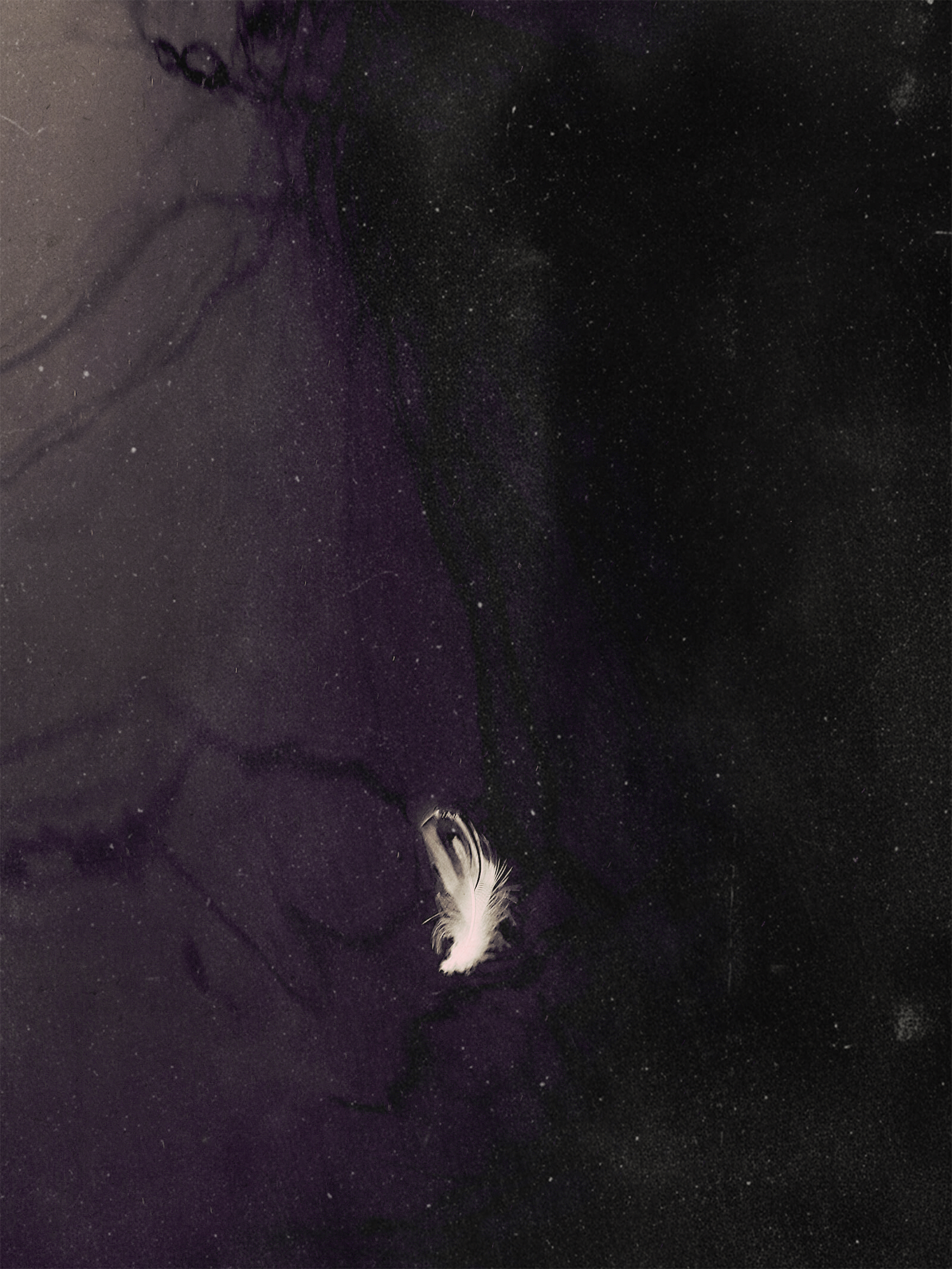 诗篇 archive image 19