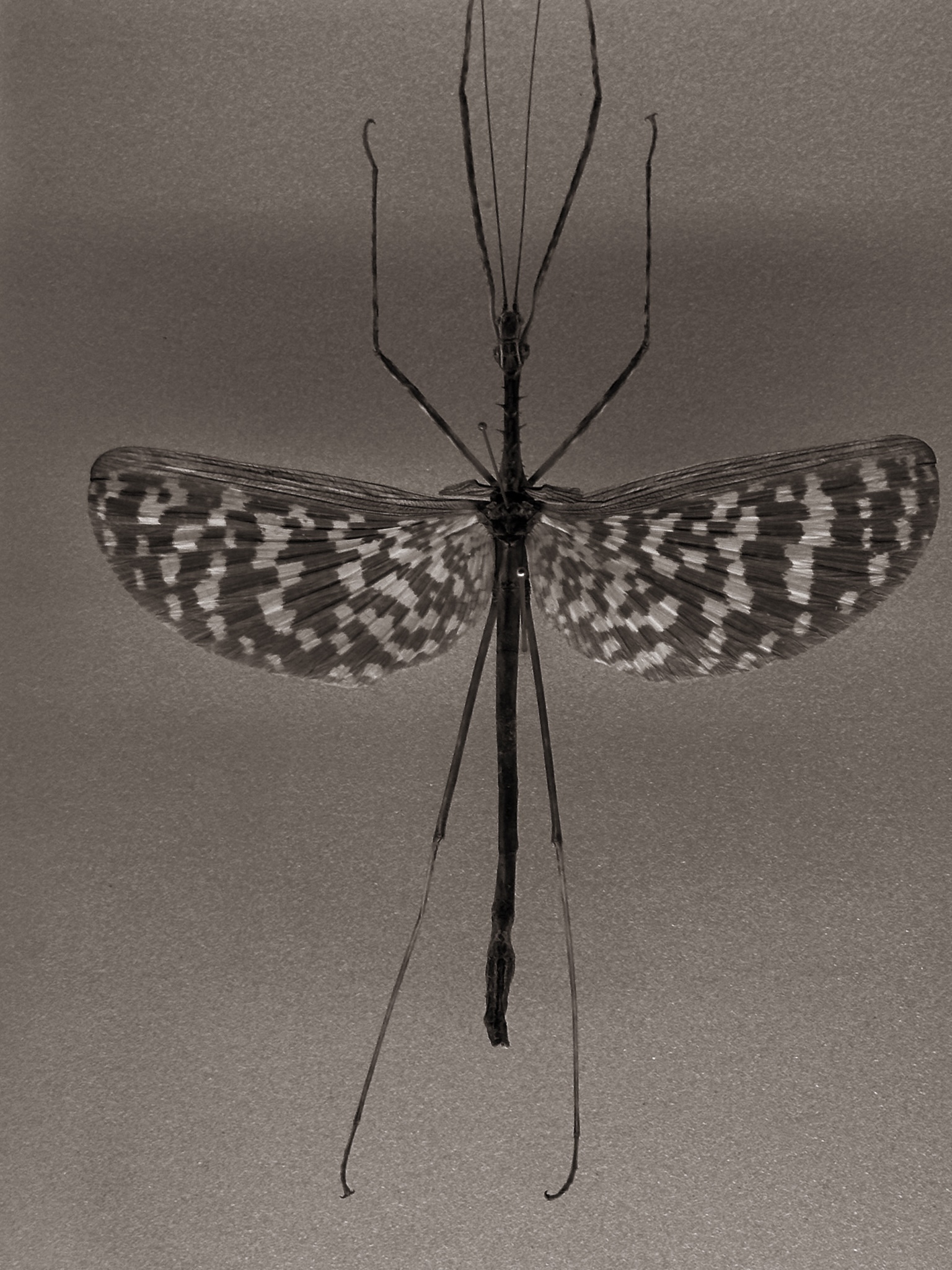 诗篇 archive image 20