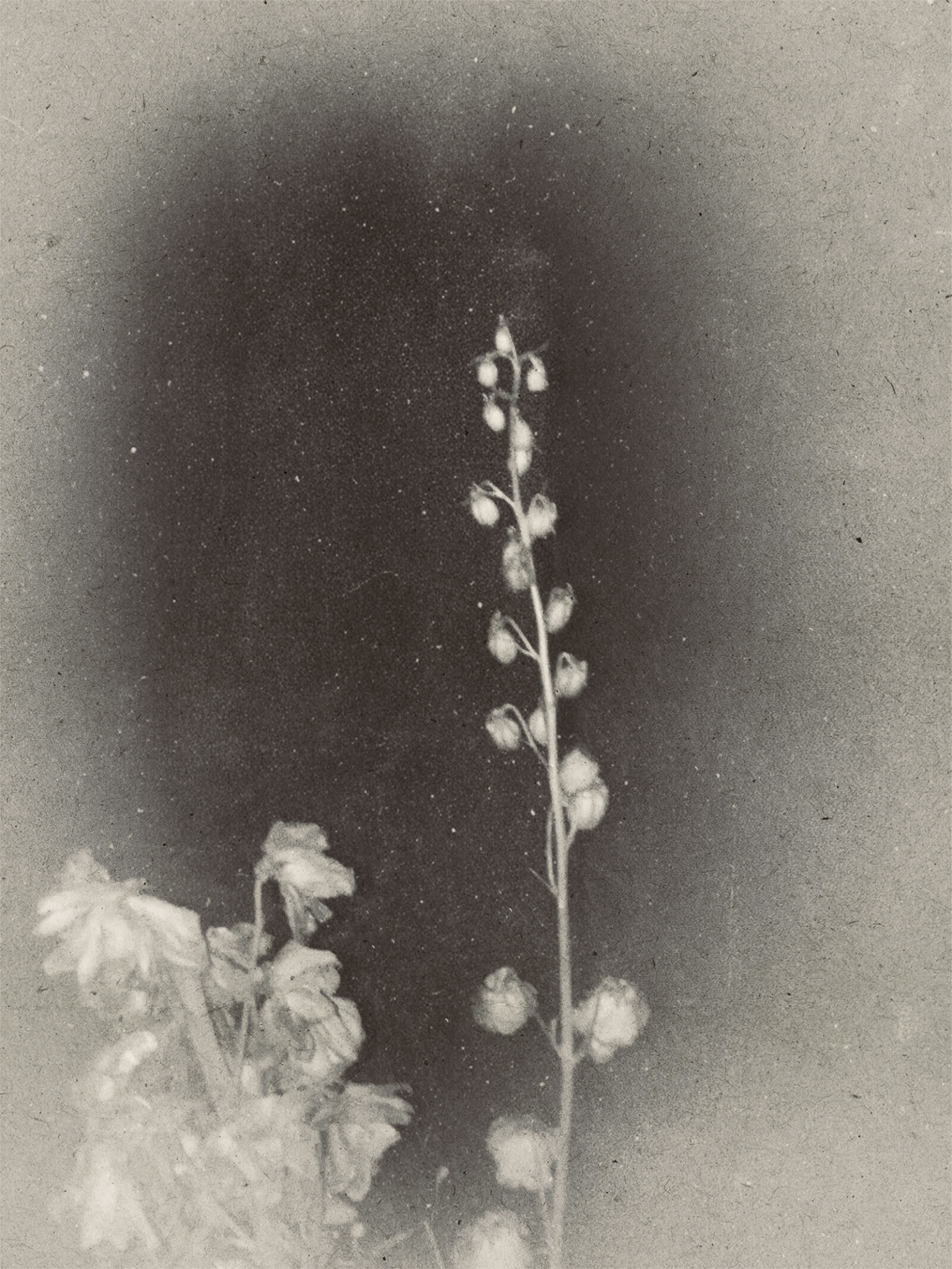 诗篇 archive image 4