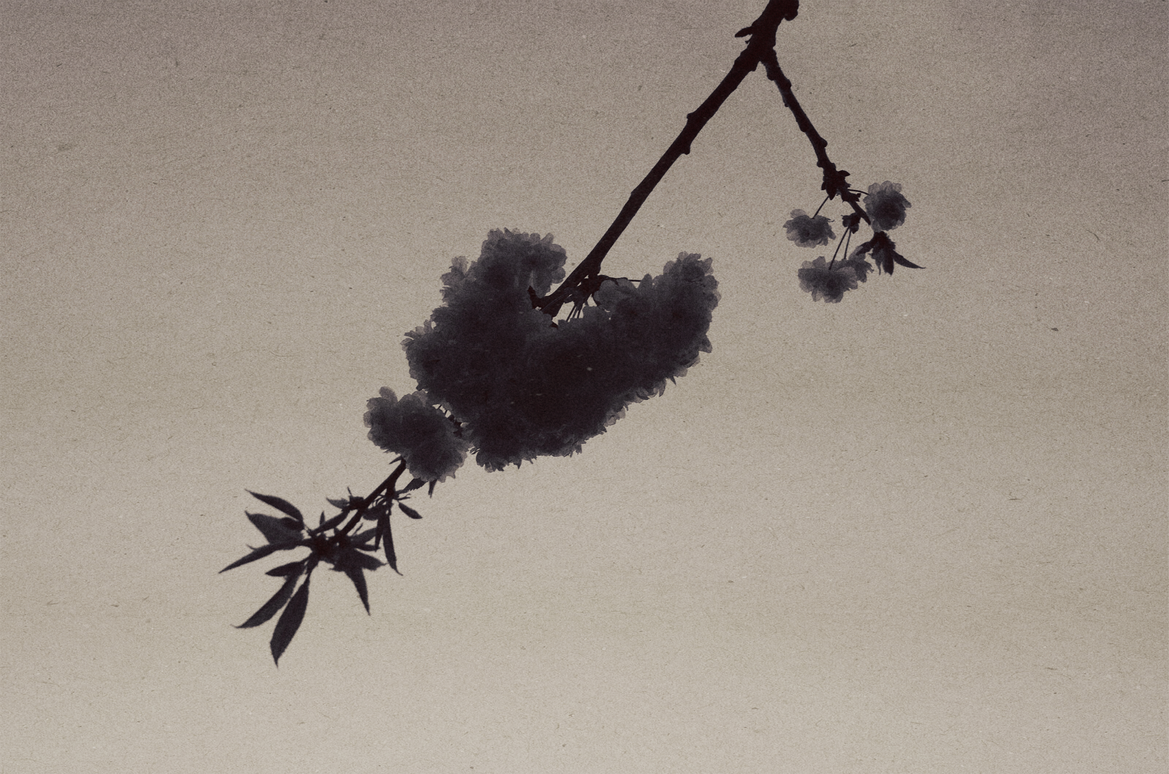 诗篇 archive image 7