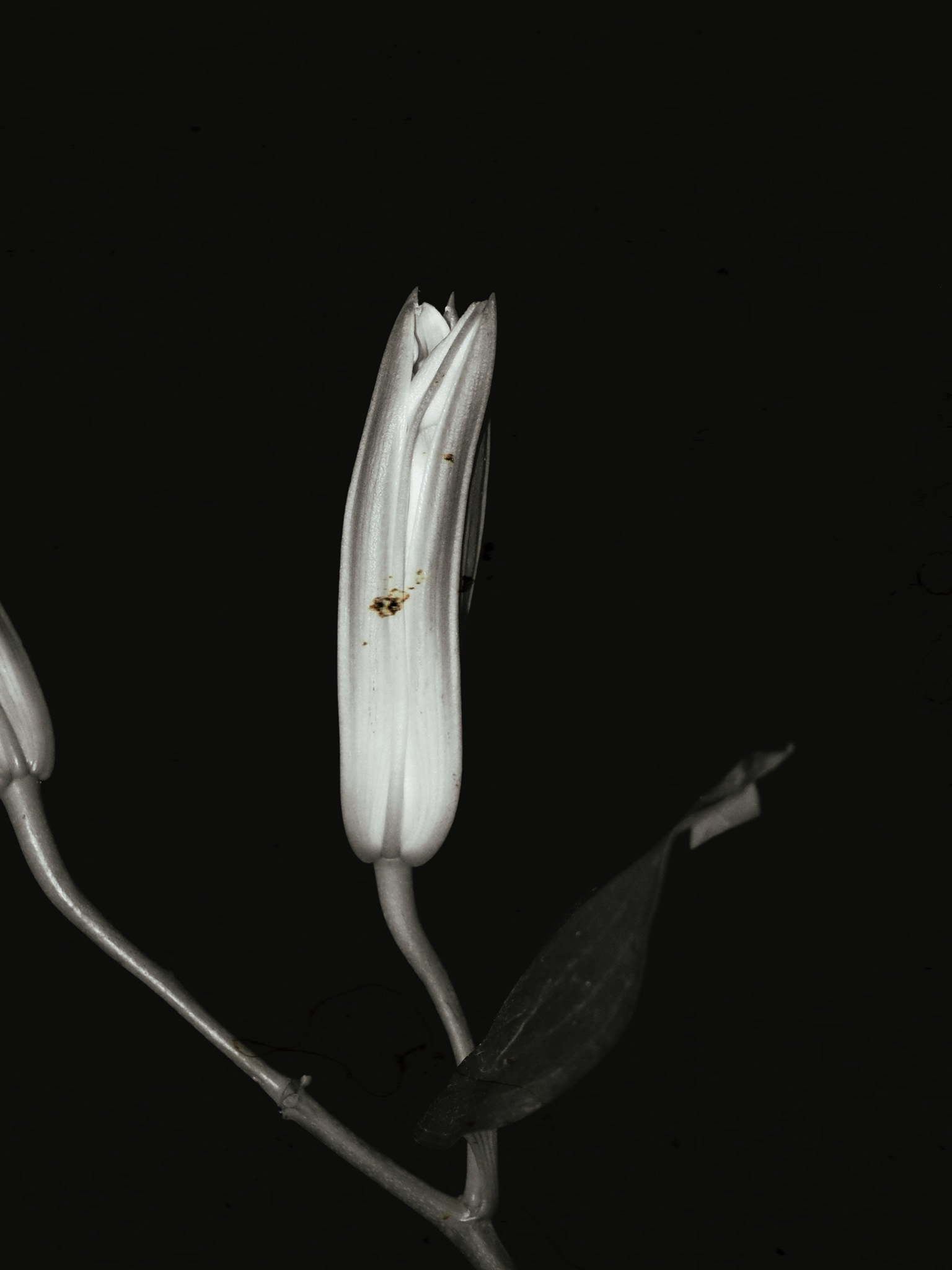 物俱损 archive image 3