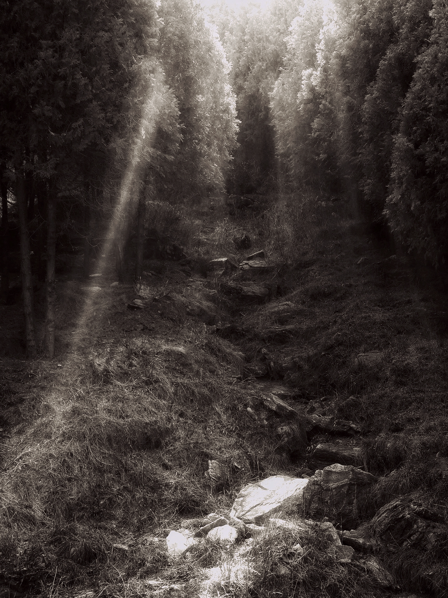 物俱损 archive image 7
