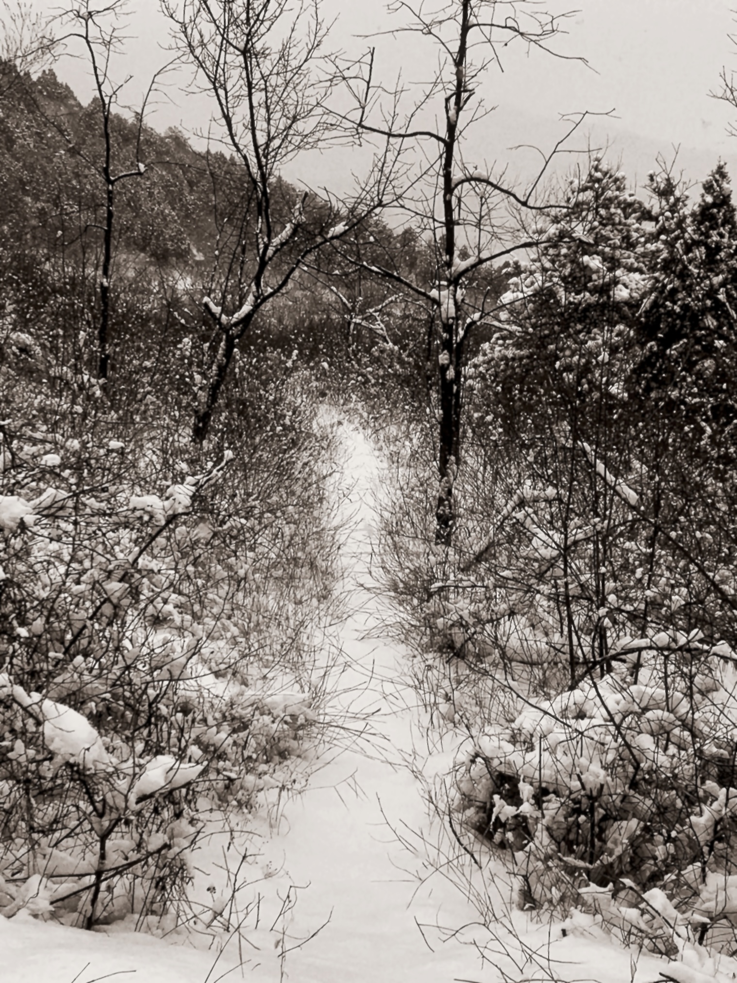 物俱损 archive image 9