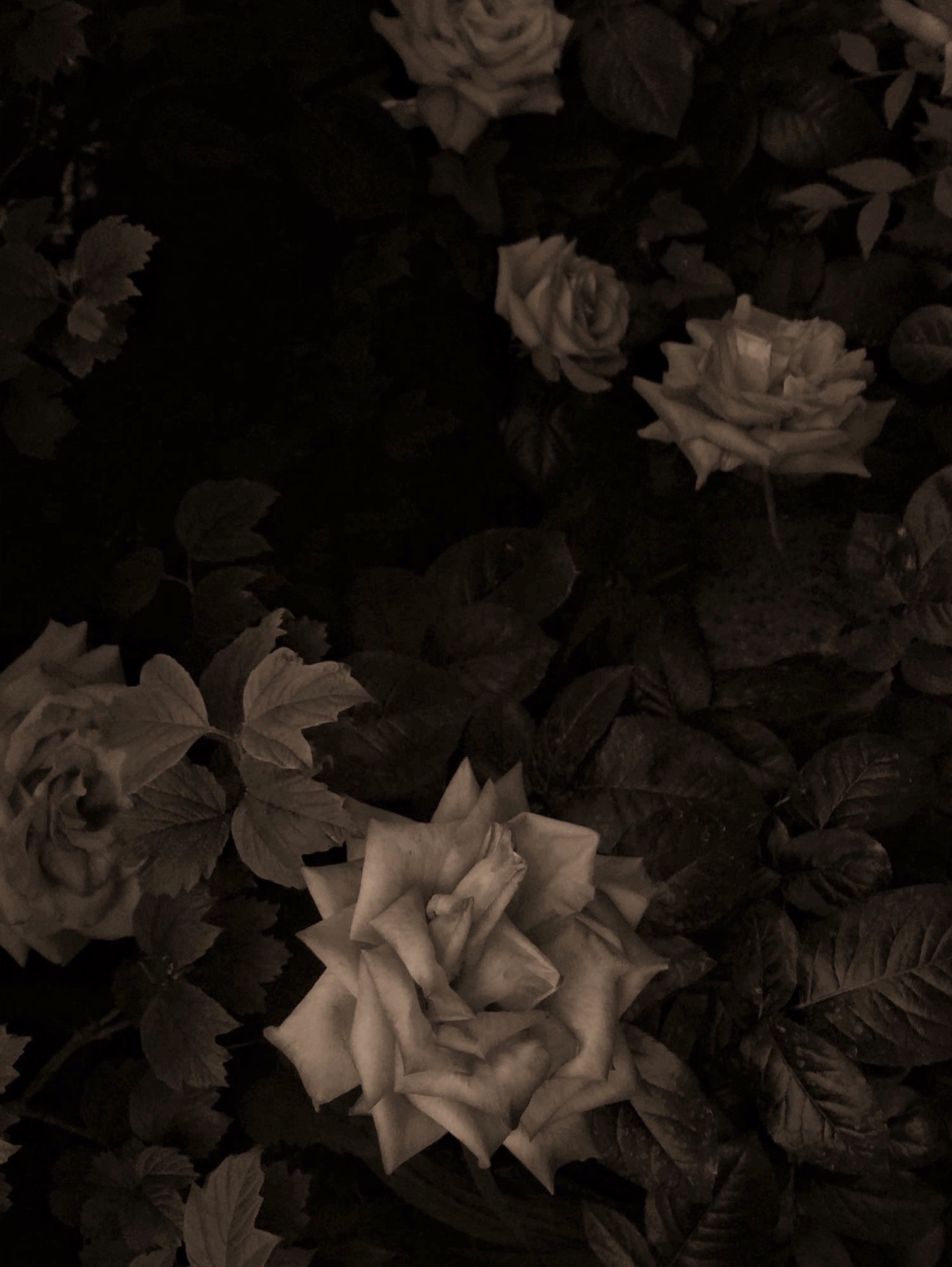 物俱损 archive image 13