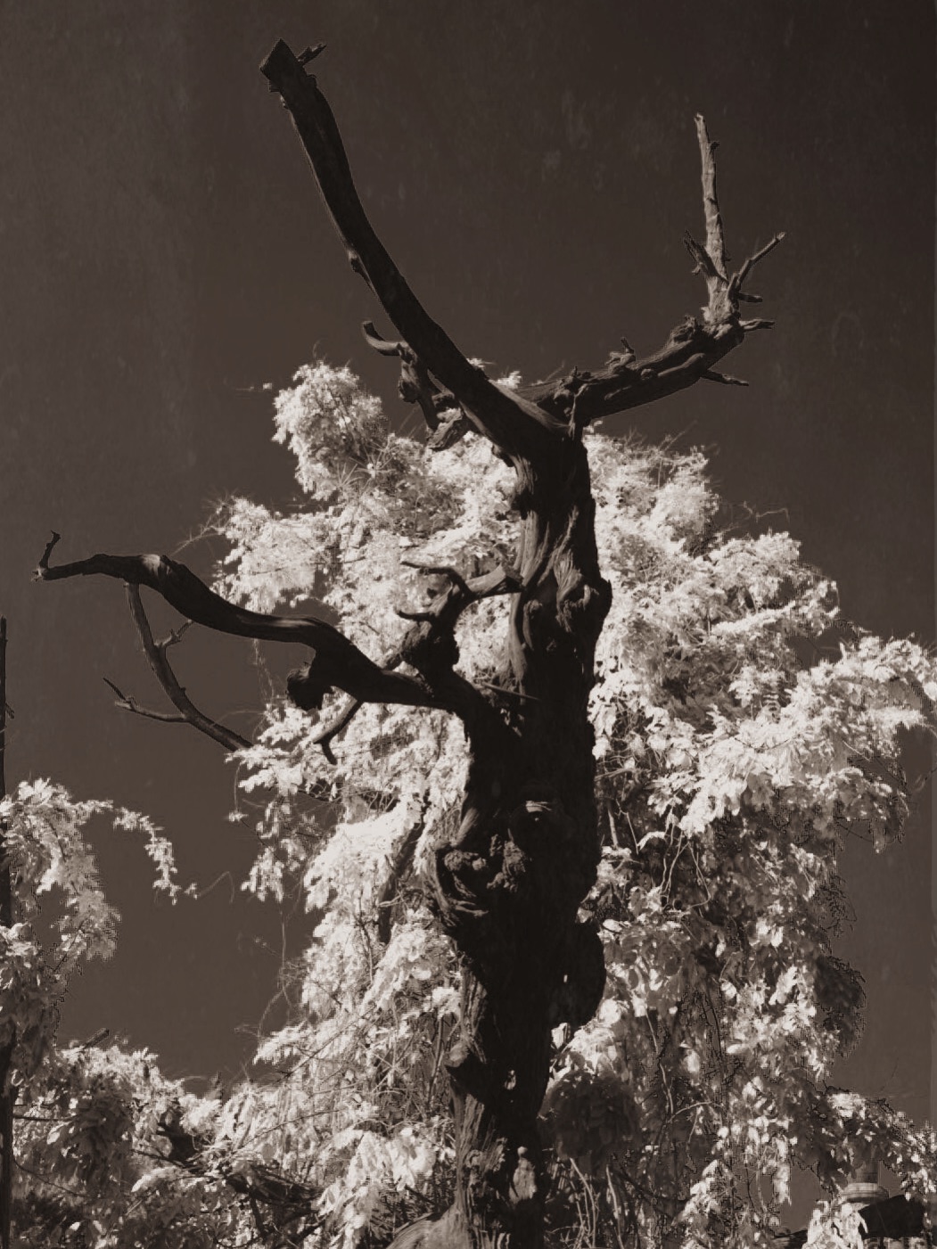 物俱损 archive image 16