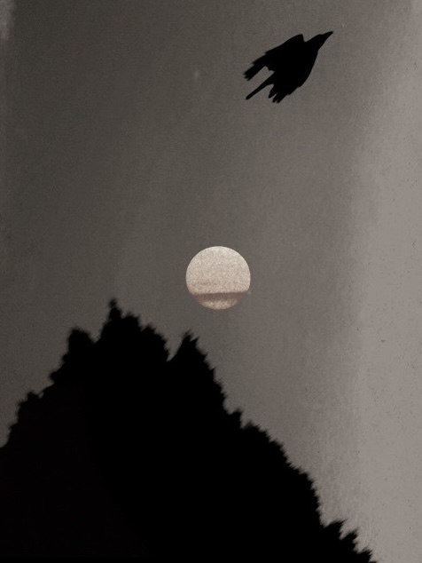 物俱损 archive image 17