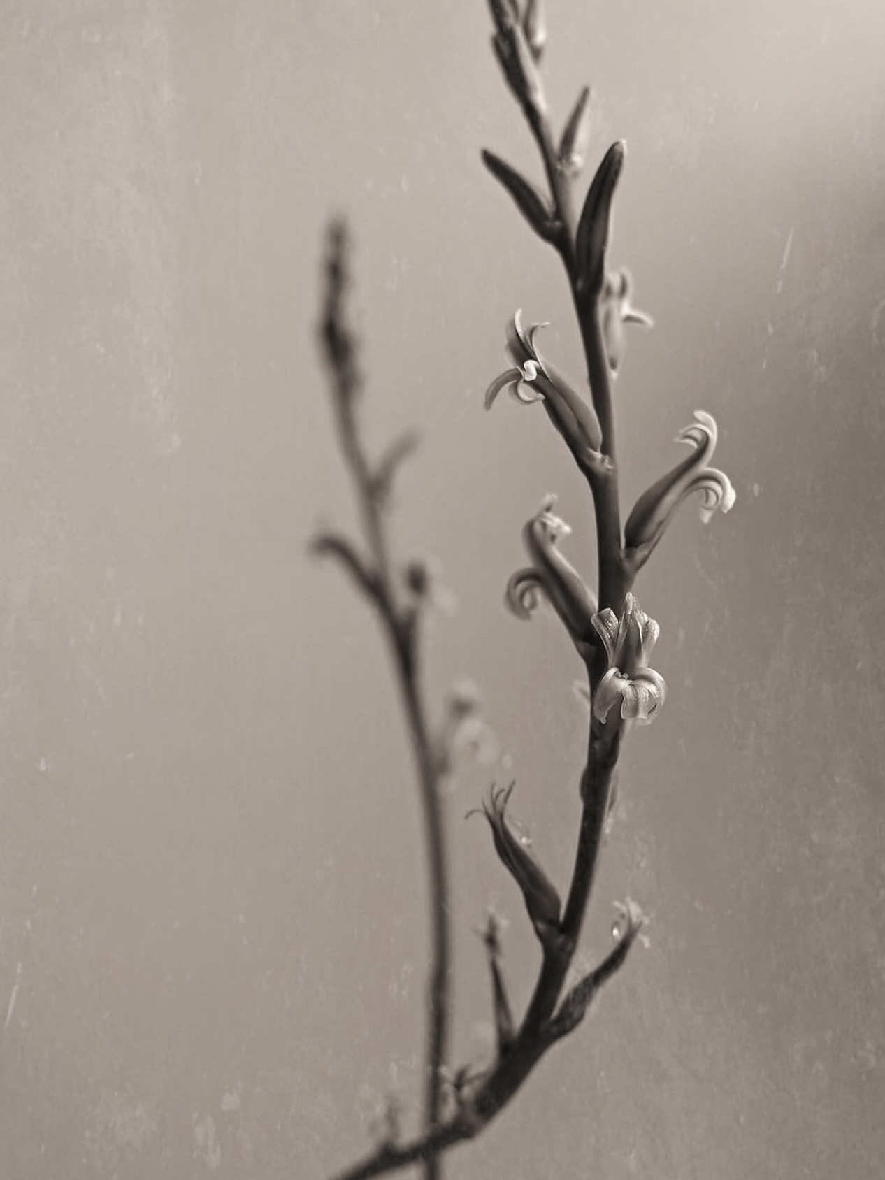 物俱损 archive image 19