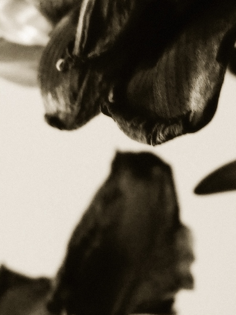 物俱损 archive image 22