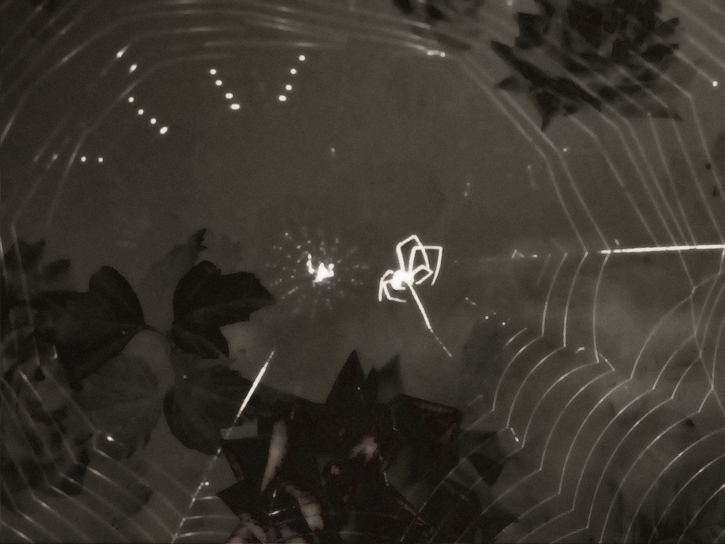 物俱损 archive image 6